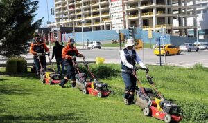 Çankaya Parklarında Çim Biçme Çalışması