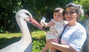 Ormanya’da yavru leylek Atlas’a sürpriz kutlama