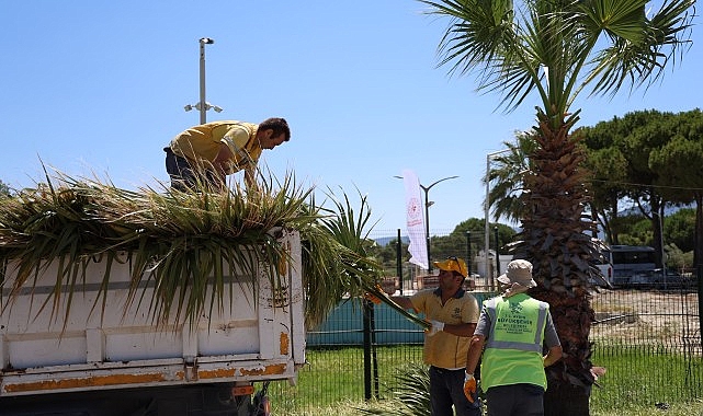 Başkan Çerçioğlu Öncülüğünde Kuşadası’nda Yeşil Alanlarda Kapsamlı Bakım ve Düzenleme Çalışması