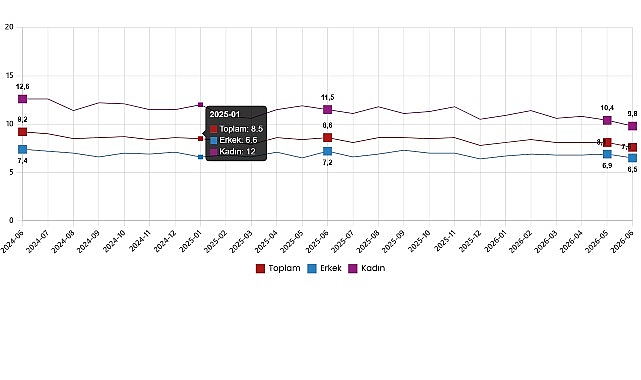 İşgücü İstatistikleri, Haziran 2026