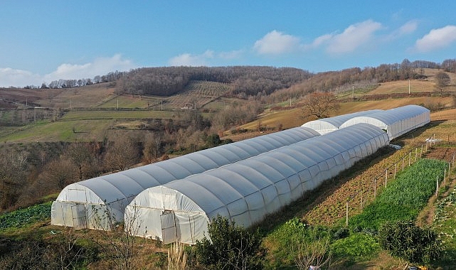 Kocaeli Büyükşehir, tarımı geleceğe taşıyor